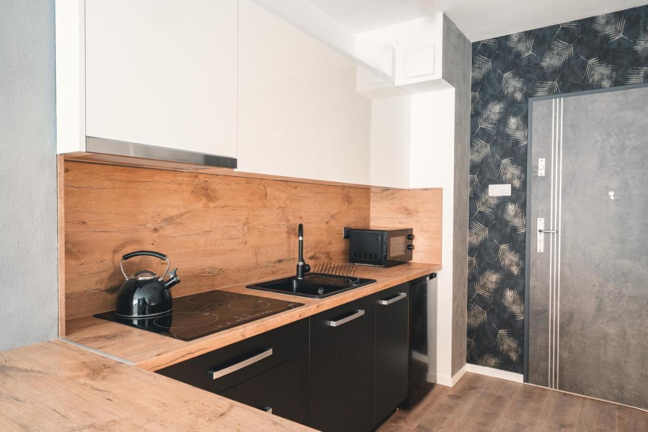 Apartament Nr 16 - Zrodlana 2 Apartment Swieradow-Zdroj Ngoại thất bức ảnh